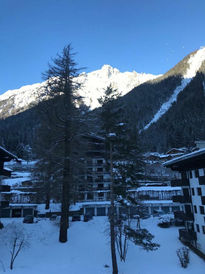 Apartament Brevent - Meleze Chamonix Zewnętrze zdjęcie