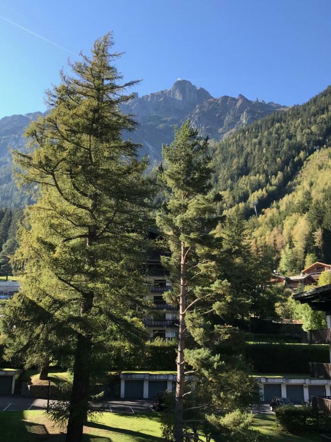 Apartament Brevent - Meleze Chamonix Zewnętrze zdjęcie
